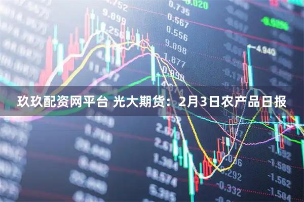 玖玖配资网平台 光大期货：2月3日农产品日报